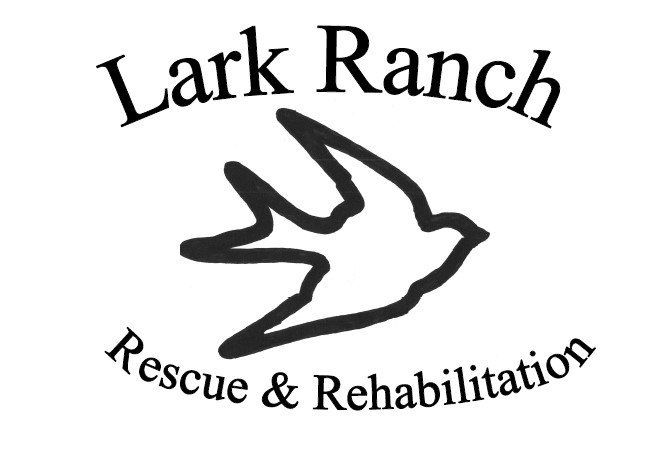 Lark Ranch Rescue & Rehab